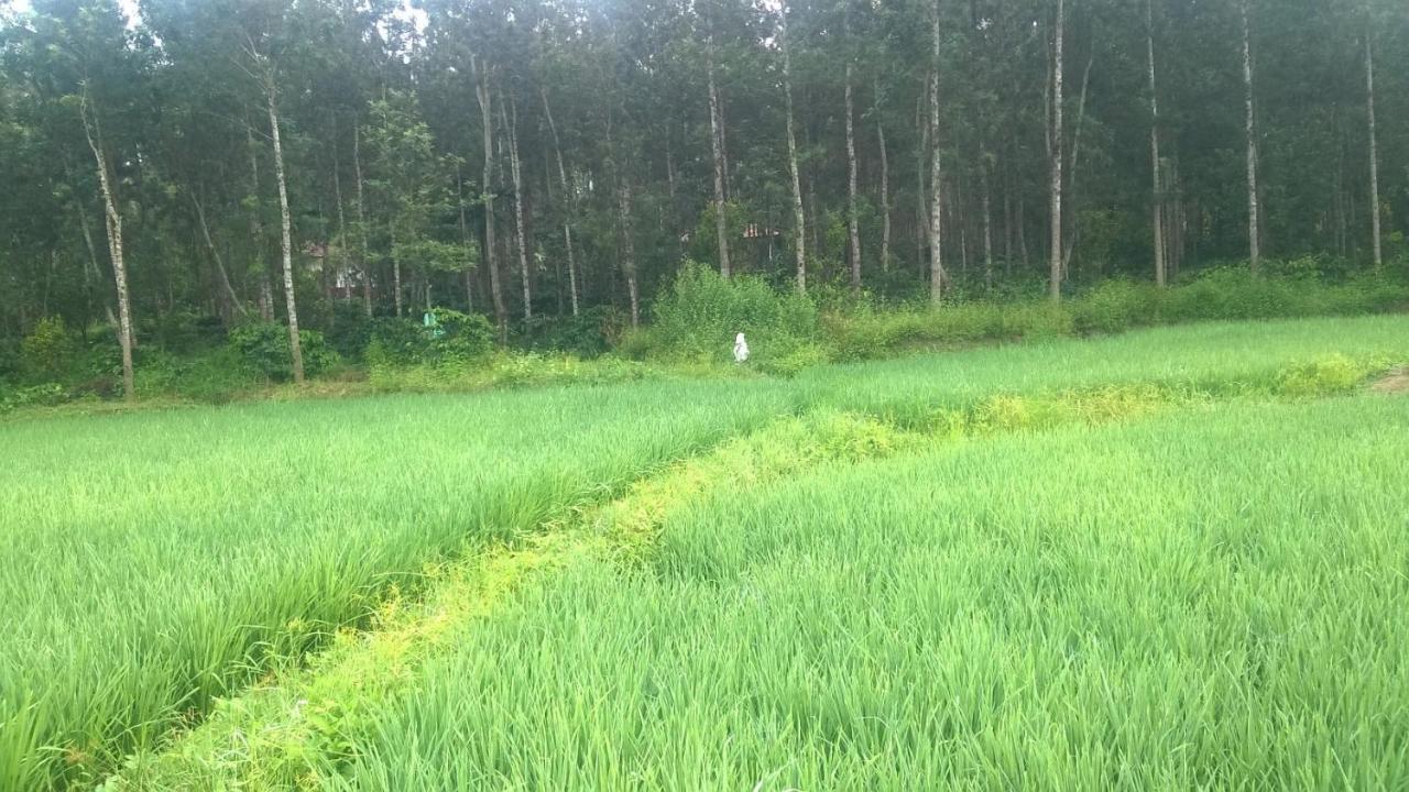 Rai Cottage @ Coorg ,Suntikoppa Εξωτερικό φωτογραφία