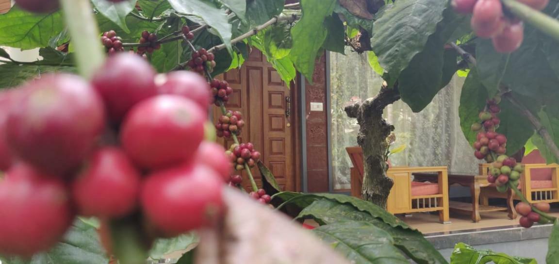 Rai Cottage @ Coorg ,Suntikoppa Εξωτερικό φωτογραφία