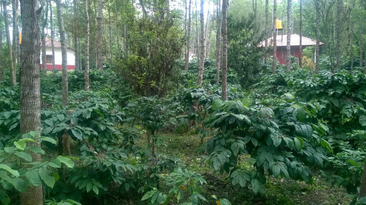 Rai Cottage @ Coorg ,Suntikoppa Εξωτερικό φωτογραφία