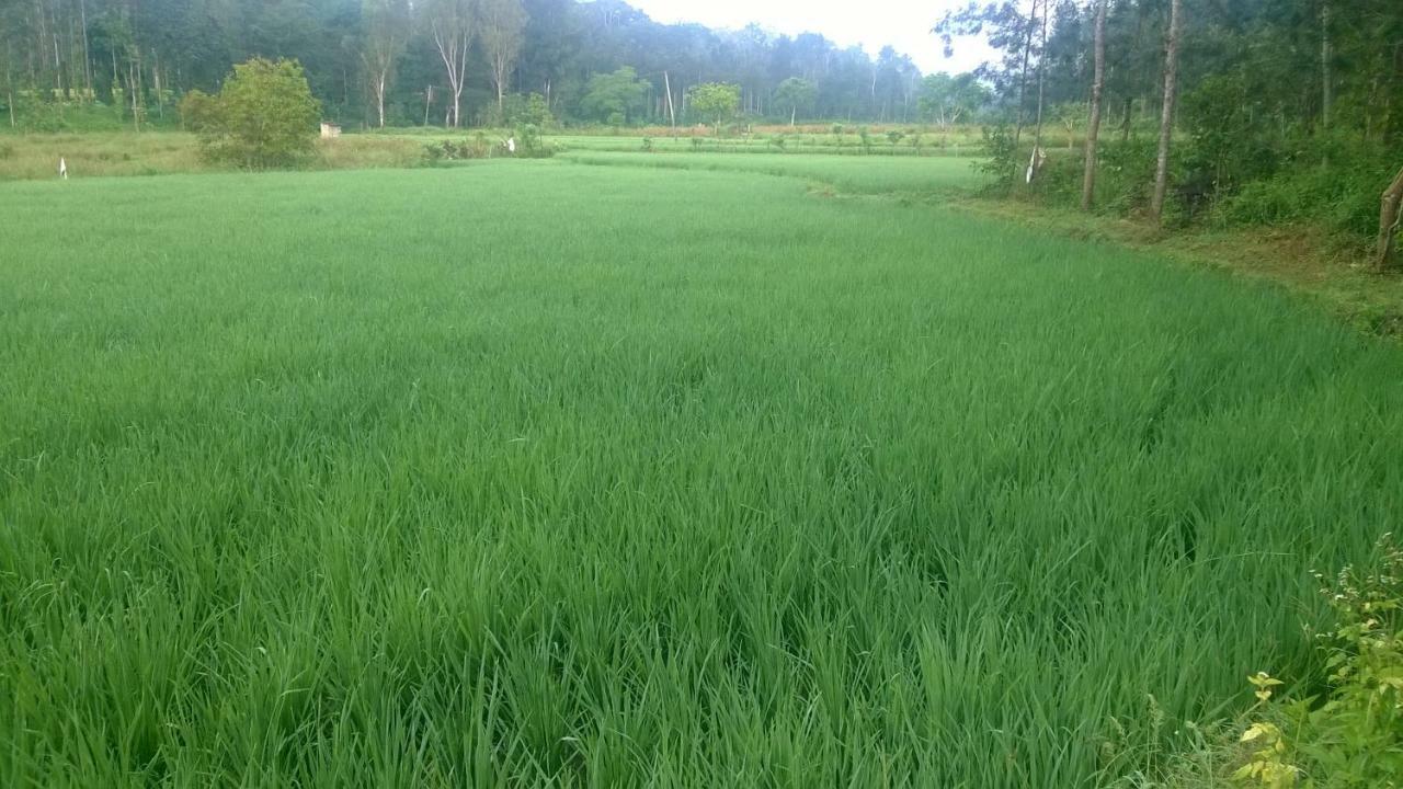 Rai Cottage @ Coorg ,Suntikoppa Εξωτερικό φωτογραφία