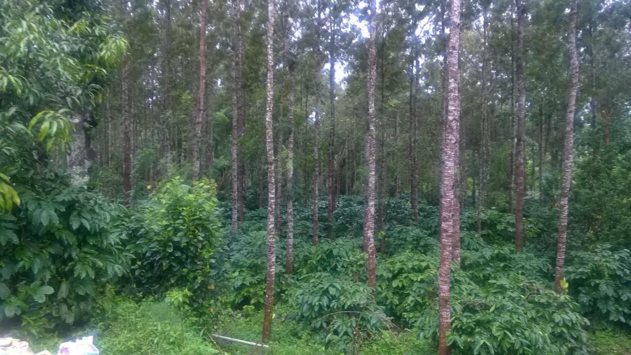 Rai Cottage @ Coorg ,Suntikoppa Εξωτερικό φωτογραφία