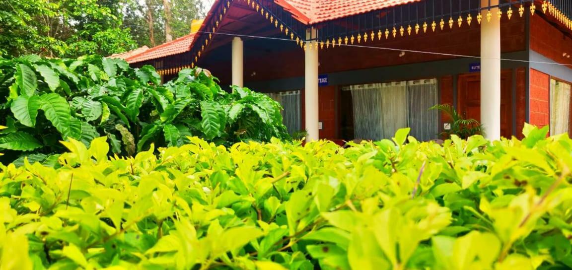 Rai Cottage @ Coorg ,Suntikoppa Εξωτερικό φωτογραφία